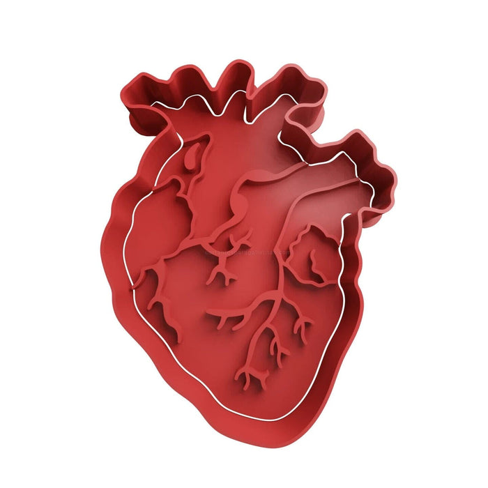 Selling3d Casa, arredamento e bricolage:Articoli per cucina e bar:Accessori per pasticceria:Formine e stampi per biscotti Cuore anatomico cookie cutter formina tagliabiscotti