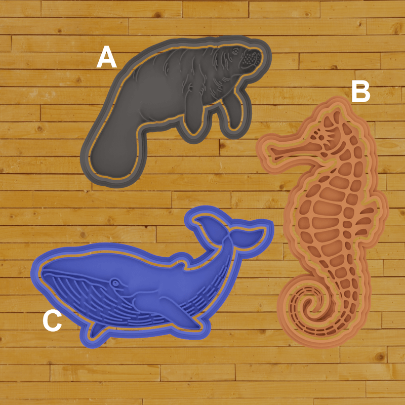 Animali marini set 3 pezzi - 3d Selling