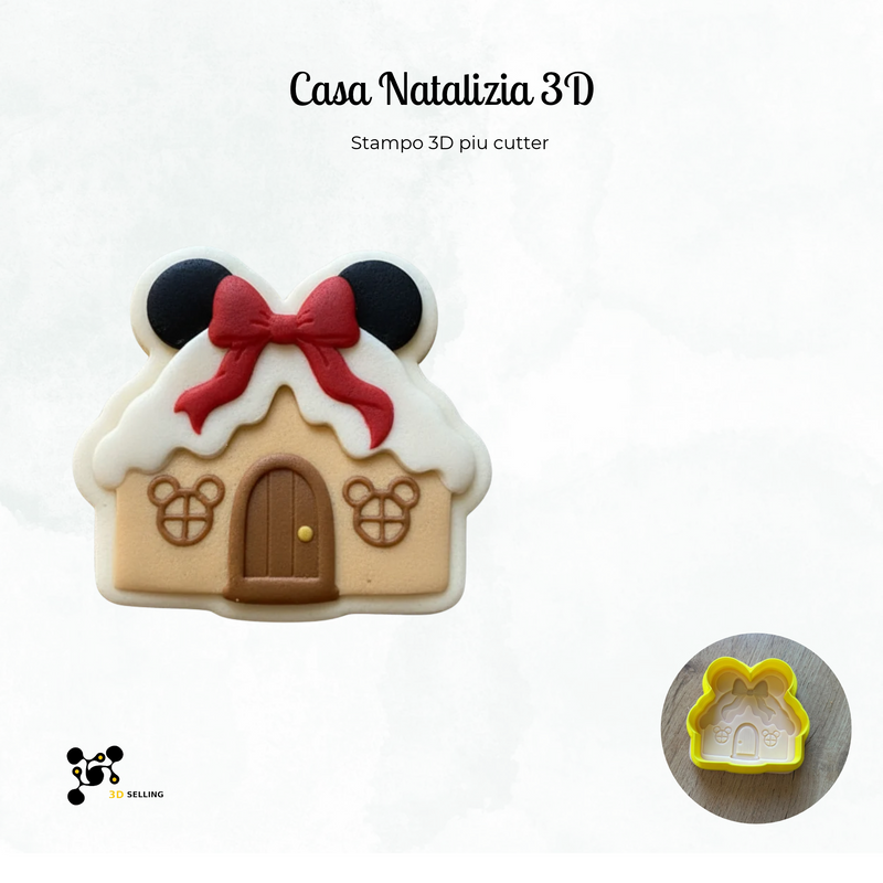 Casa Natalizia 3D